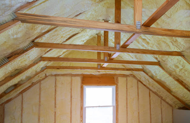 Best Garage Insulation Installation  in Sneads Ferry, NC