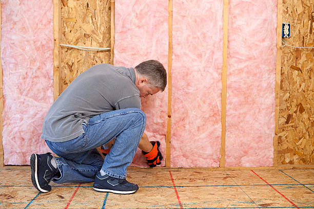 Best Spray Foam Insulation  in Sneads Ferry, NC