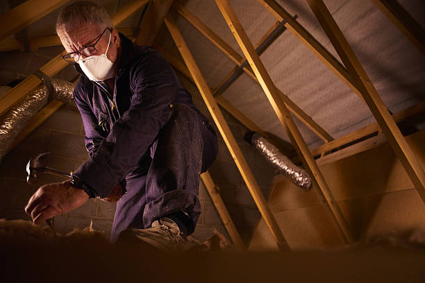Best Attic Insulation Installation  in Sneads Ferry, NC