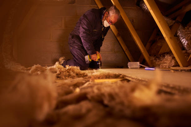Best Insulation Contractor Near Me  in Sneads Ferry, NC